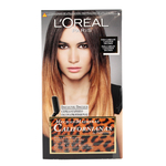 dk/3288/1/loreal-preference-wild-ombres-01