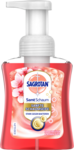 dk/3669/1/sagrotan-flydende-sabe-mousse-cherry-rose