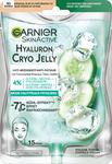 dk/6074/1/garnier-skin-active-cloth-mask-cryo-jelly
